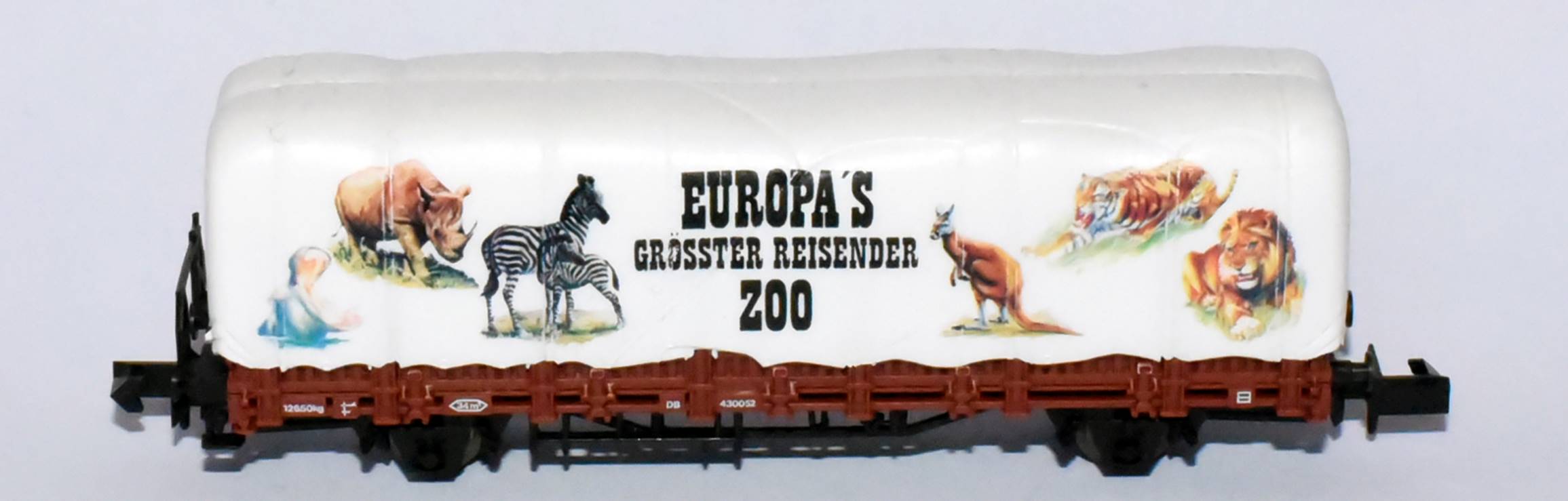 Immagine che contiene testo, cane

Descrizione generata automaticamente